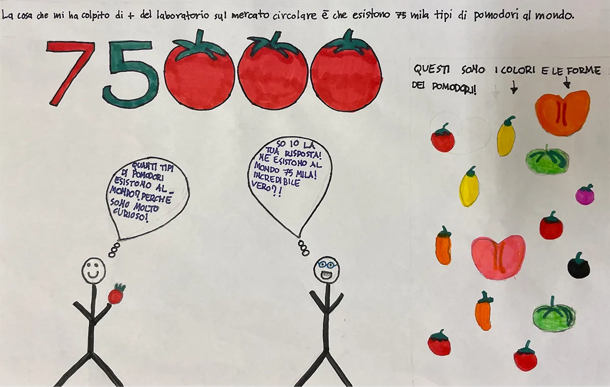 Viaggio di Tommy, il pomodoro felice - immagine 5