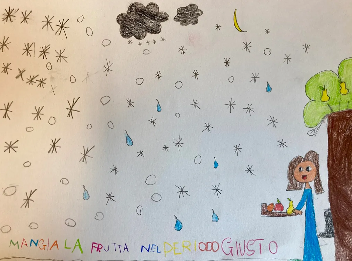 Viaggio di Tommy, il pomodoro felice - immagine 7