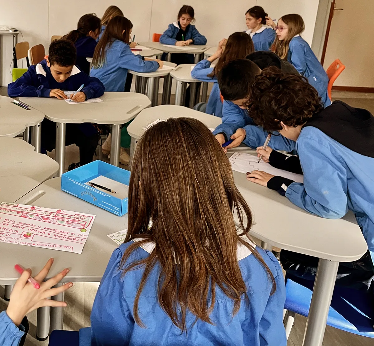 Viaggio di Tommy, il pomodoro felice - immagine 3