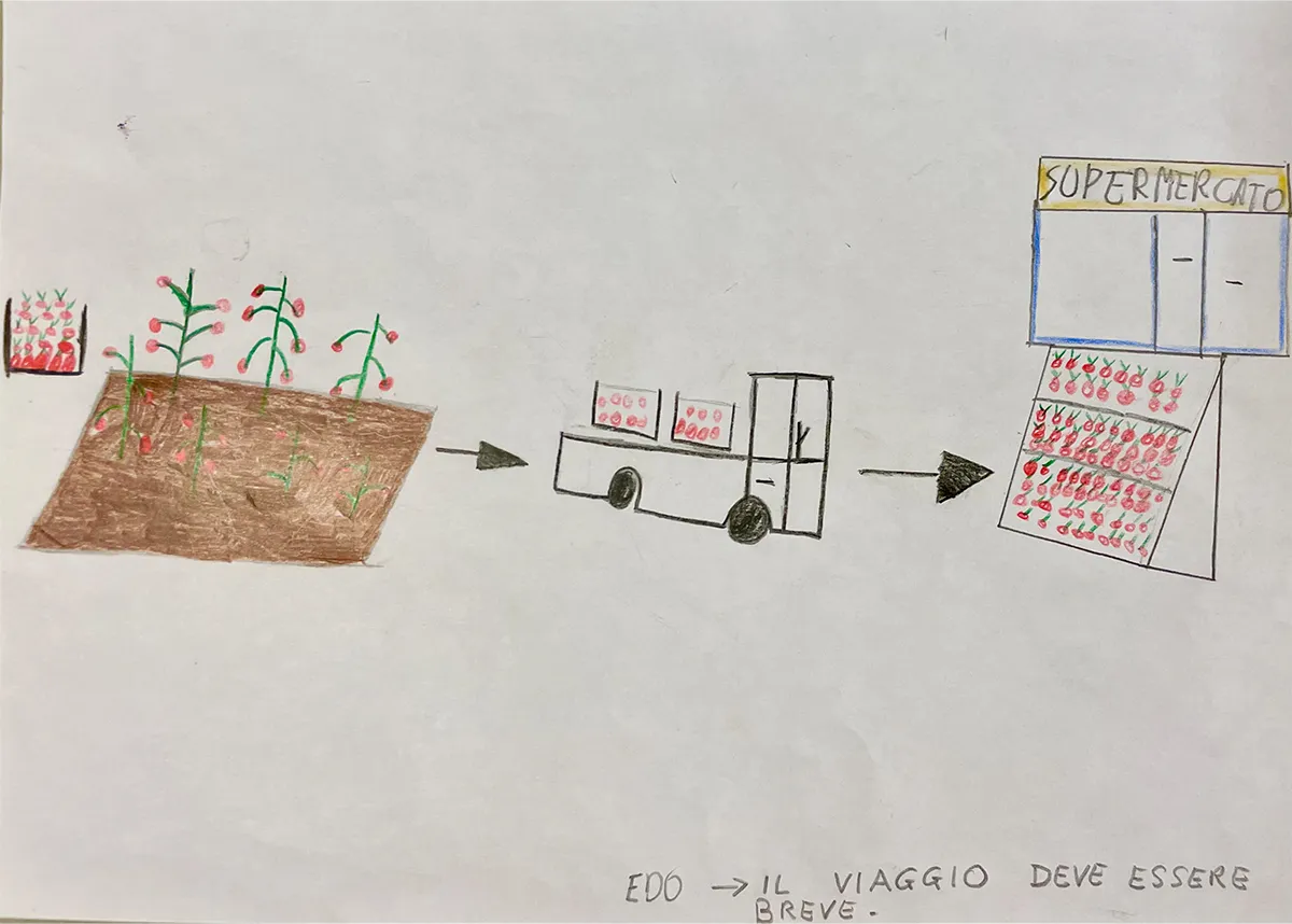 Viaggio di Tommy, il pomodoro felice - immagine 6